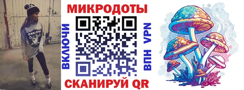 Галлюциногенные грибы Psilocybine cubensis  Тутаев 